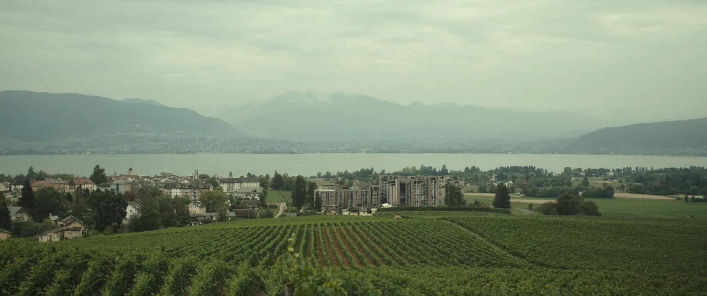 La Côte : vignoble, village et immeubles récents au bord du Léman
