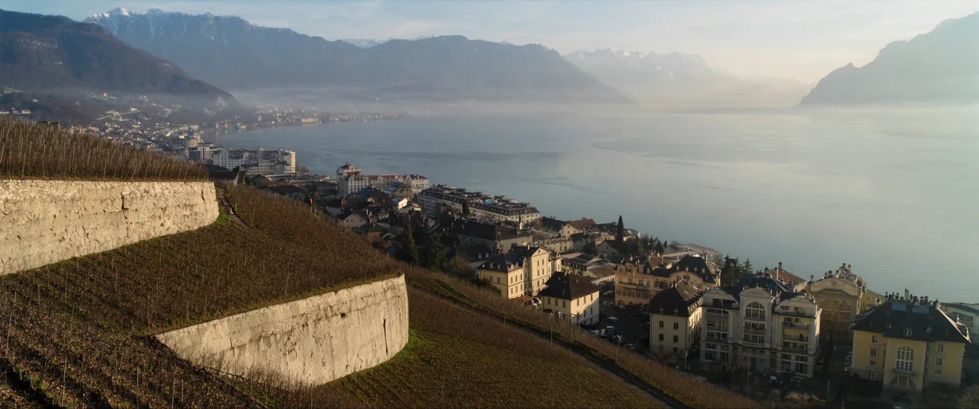 Lavaux : terrasses de vigne au-dessus de la Riviera et du Léman